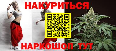 мдпв Кингисепп