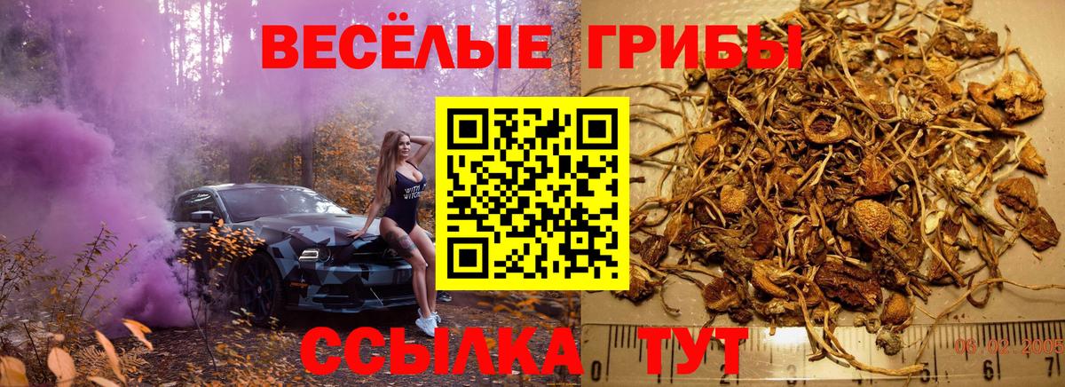 Галлюциногенные грибы прущие грибы  как найти закладки  Югорск  Вход с VPN  Галлюциногенные грибы мицелий 
