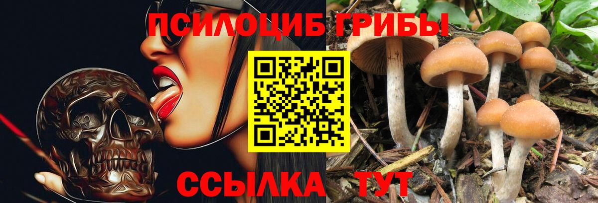 Псилоцибиновые грибы MAGIC MUSHROOMS Югорск
